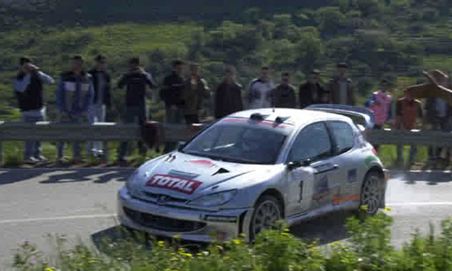 1 Peugeot 206 WRC Travaglia - Zanella (4).jpg